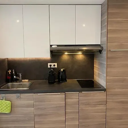 Alpe D'huez Quartier Jeux 50 M2-100 M Des Pistes Apartment *